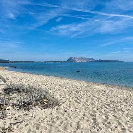 Iss Travel, San Teodoro 1 - 100 M From Cala D'Ambra Beach 外观 照片