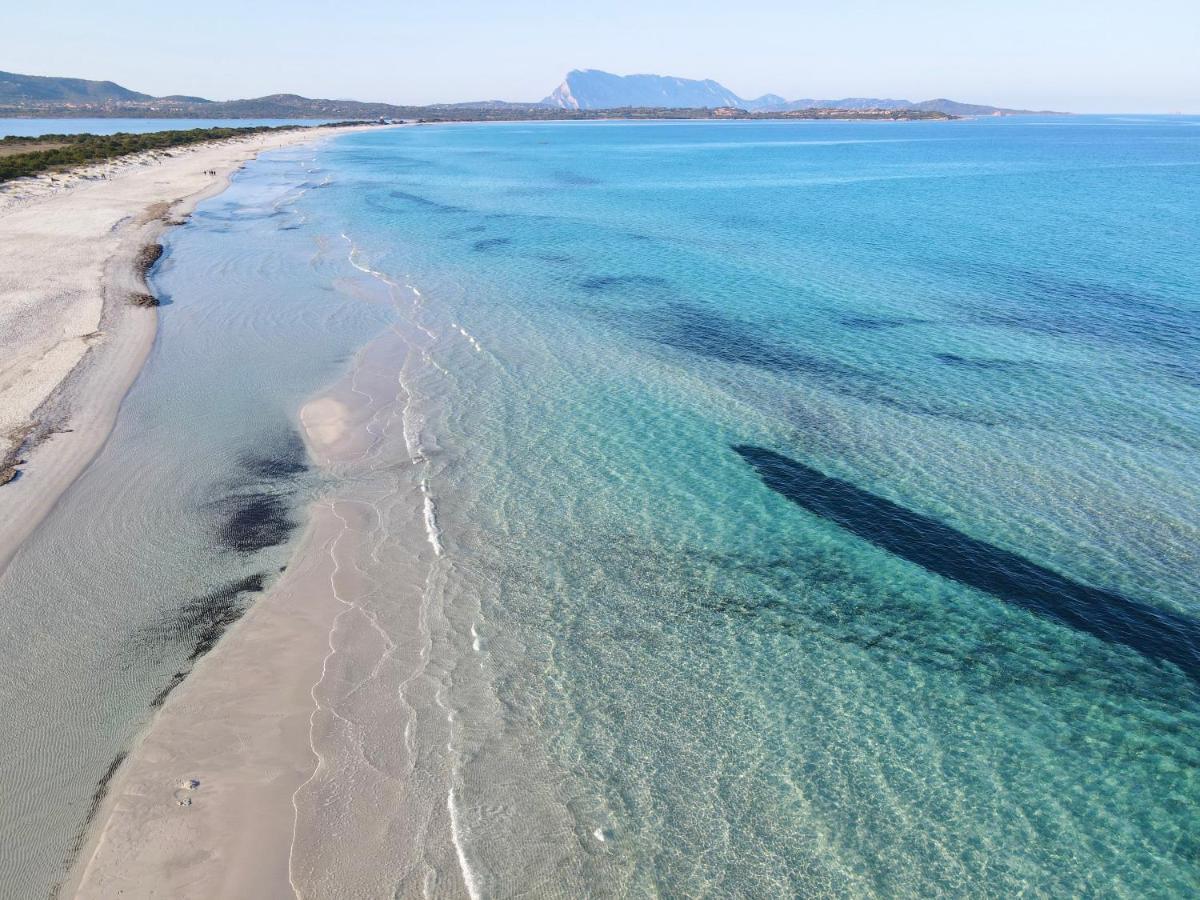 Iss Travel, San Teodoro 1 - 100 M From Cala D'Ambra Beach 外观 照片