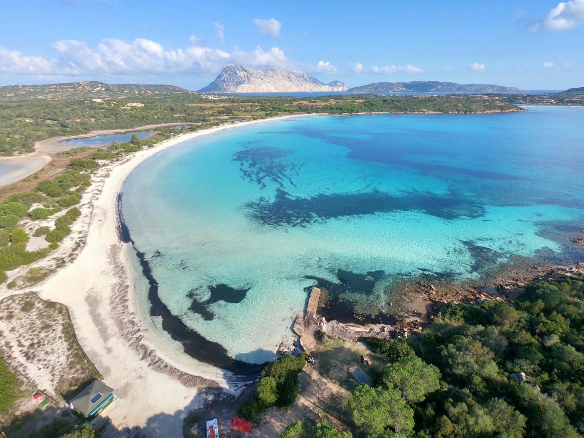 Iss Travel, San Teodoro 1 - 100 M From Cala D'Ambra Beach 外观 照片